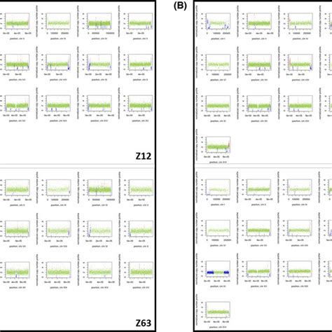 Copy Number Profiles Of Each Chromosome Of The Two Strains Chosen As