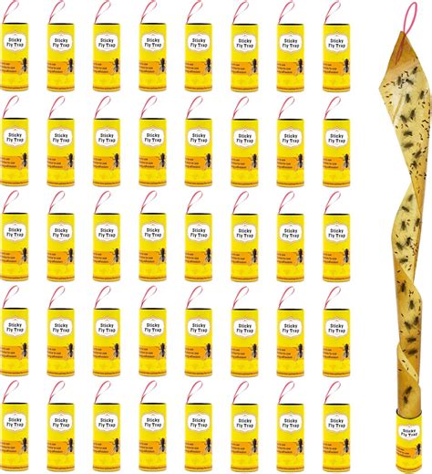 Paquete de 40 trampas para moscas, trampas para moscas de frutas para