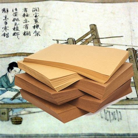 Из чего делают книги: естественная история бумаги | Книги. Издательство ...