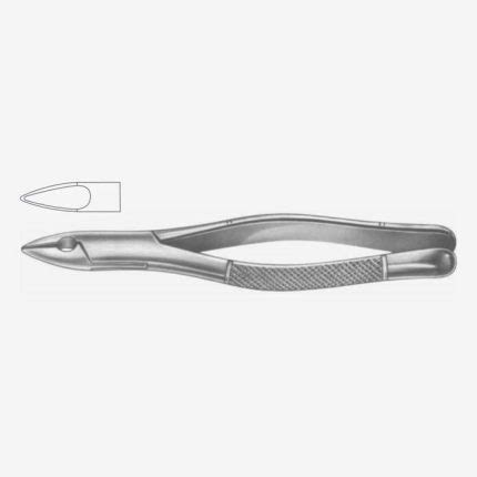 American Pattern Tooth Extraction Forceps Fig 1S Xelpov Surgical