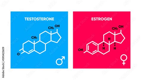 Symbol Of Estrogen And Testosterone Skeletal Formula Logos Molecular Chemical Formula Of Sex