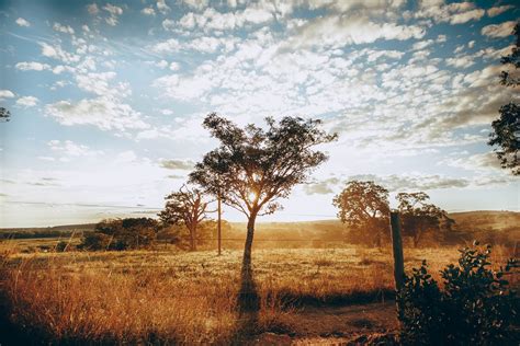 Viabilidade Construtiva O Que E Para Que Serve