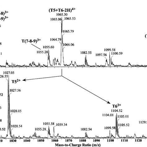 Partial Electrospray Ionization Mass Spectra From An 80 Min Tryptic Download Scientific Diagram