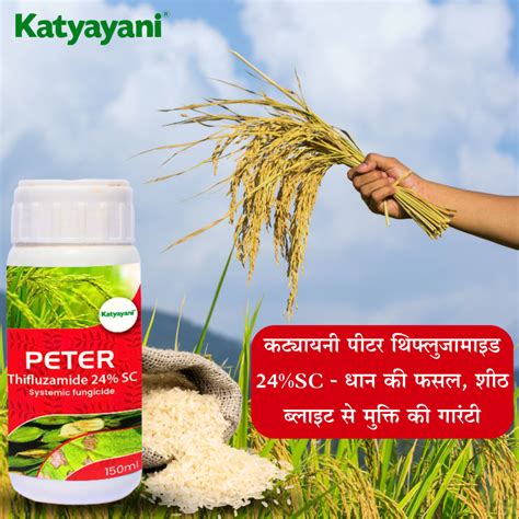 Katyayani Peter Thifluzamide 24sc Katyayani Organics