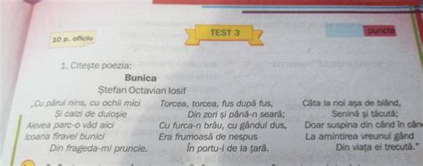 Formulează câte o propoziție folosind cuvintele nins senin cald în care