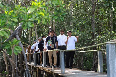 Mengenal Ekowisata Mangrove Pandang Tak Jemu Kota Batam Kepulauan Riau