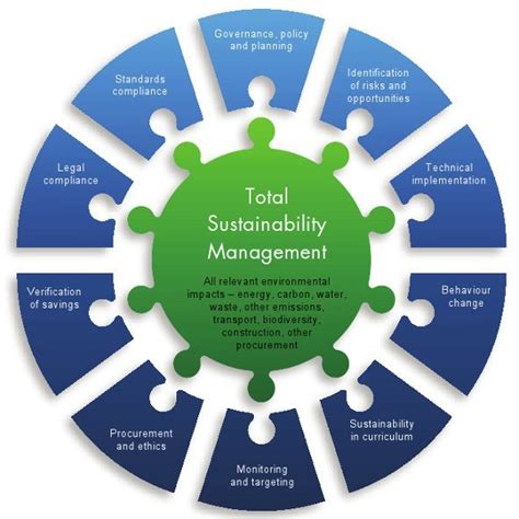 Environmental Sustainability Strategy Management Guru Management Guru