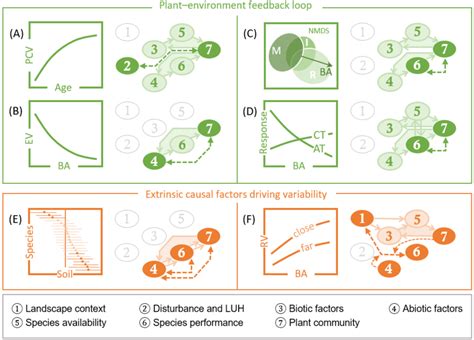 Mapping Field Studies On A Conceptual Framework Of Ecological