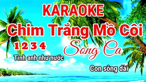 Chim Trắng Mồ Côi Karaoke Song Ca Nhạc Sống Phối Mới 2023