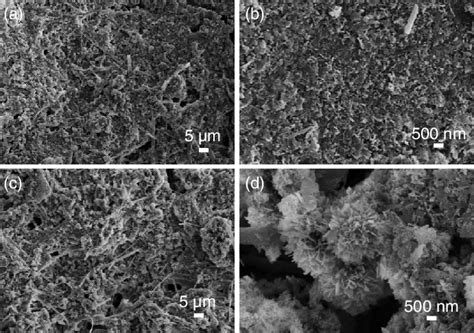 Sem Micrographs Of The Cellulose Ha Nanocomposites Prepared By