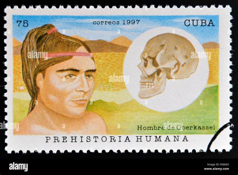 Cuba Circa A Stamp Printed In Cuba Dedicated To Human