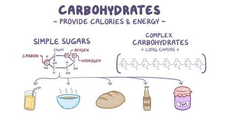 Carbohydrates And Sugars Video Anatomy Definition Osmosis