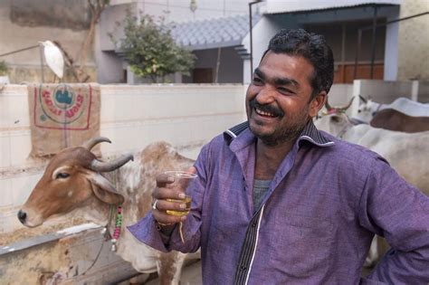 Hindu Worshippers Drink Fresh Cow Urine Mirror Online