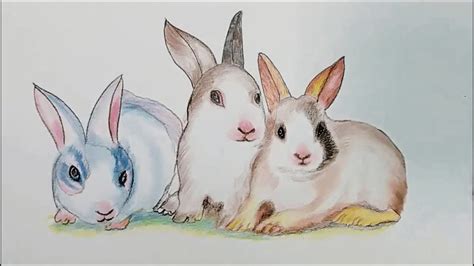 Draw And Painting Three Rabbit Step By Step YouTube