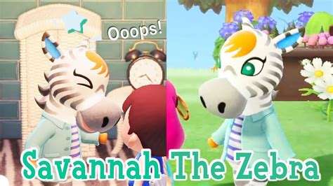 Savannah The Zebra Normal Villager Horse Animal Crossing New Horizons