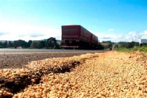 Transporte Rodovi Rio Respons Vel Por Quase De Perdas Nas Safras