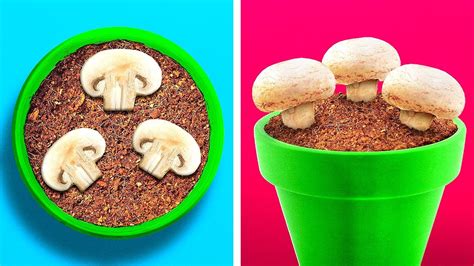 Surprising Plant Growing Hacks and Gadgets - YouTube