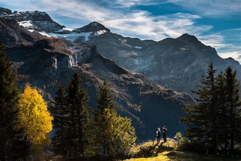 картинки пейзаж дерево природа на открытом воздухе пустыня гора