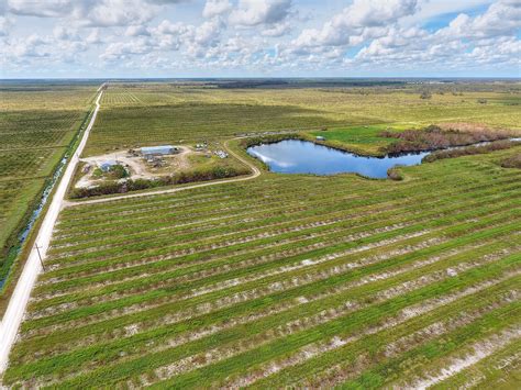 A tutorial explains how to search the database of punta gorda obits 17