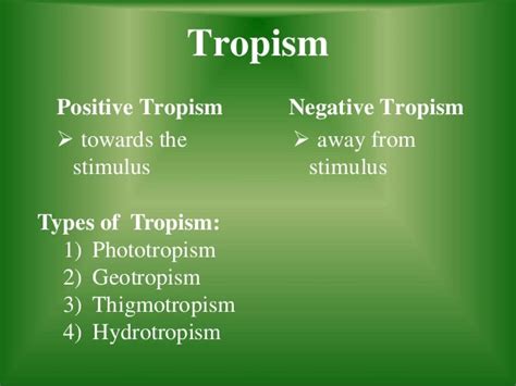 Tropism (slide share)