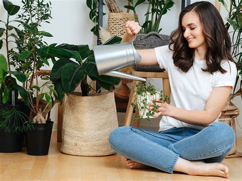 Astuces Pour Arroser Vos Plantes Vertes Pendant Vos Vacances