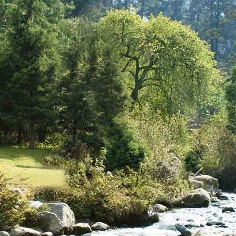 Parque Ecotur Stico San Bernab Ocotepec Destinos M Xico