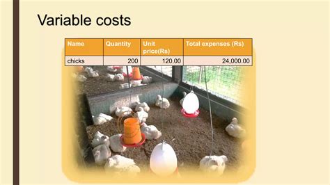 Cost Analysis Of Broiler Farming Ppt