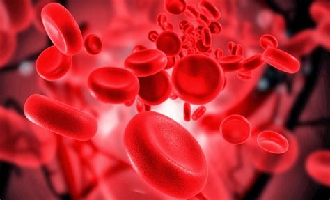 Анемия: классификация, причины, симптомы, диагностика, лечение — MedStream