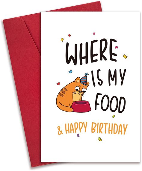 Amazon Obbyidk Funny Cat Birthday Card Hilarious Bday Card For