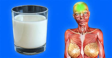 Why We Should Drink Milk Before Going To Bed Bright Side