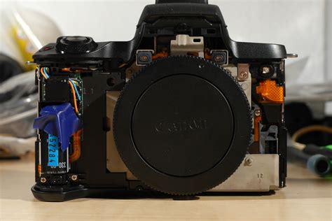 Turning Canon Eos M50 Into A Full Spectrum Camera Full Spectrum