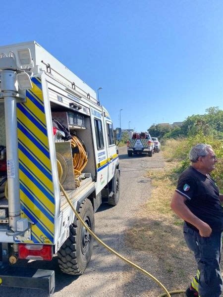 Locorotondo In Un Terreno Di Via Fasano Incendio Domato Da Uomo Duemila