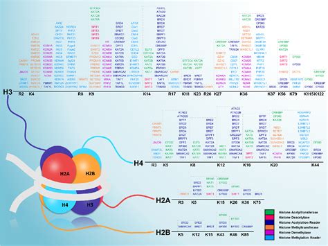 Figure 3 From WERAM A Database Of Writers Erasers And Readers Of