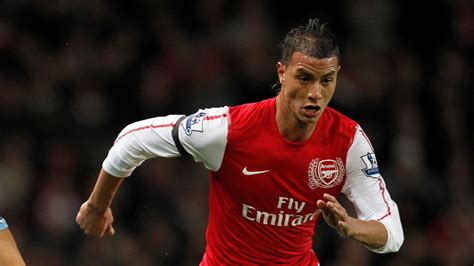 Chamakh talks on hold | Football News | Sky Sports