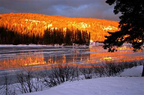 Free Images Tree Water Forest Wilderness Mountain Snow Cold