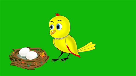 Tuni Chidiya Cartoon Green Screen Walking Bird Youtube