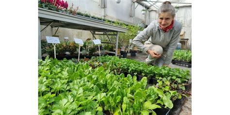 Vosges Saint Dié comment réaliser un jardin écologique et naturel