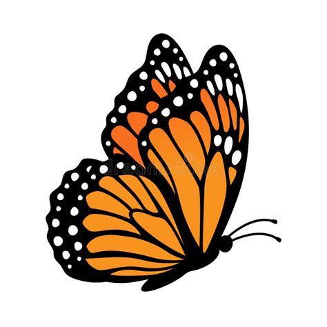 Monarch Butterfly Side View Stock Illustrations – 203 Monarch Butterfly ...