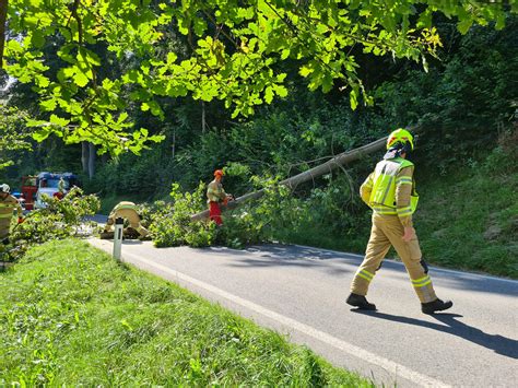 Freiwillige Feuerwehr Stans 16 07 2022 Baum Verlegt L215