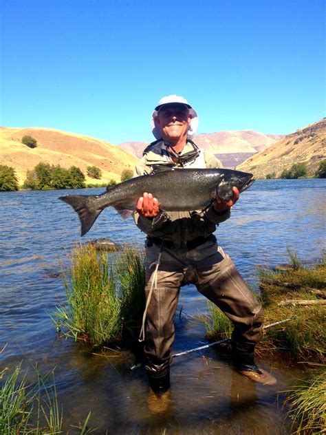 Fall Chinook Salmon Set New Record On The Columbia River Portland