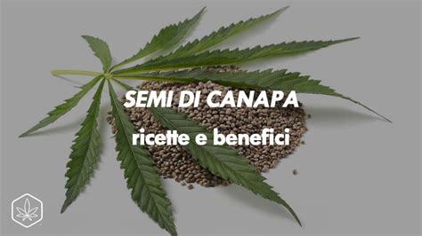 Semi Di Canapa Ricette Potere Nutritivo E Benefici Per La Salute