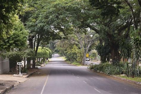 Proposta do Plano de Arborização está disponível para consulta online