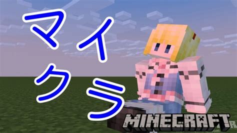 【minecraft】エンチャントするぞ～ Minecraft Summary マイクラ動画