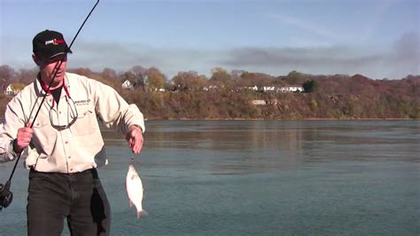 Jigging Spoon Tips And Techniques Jigging Using The Brand New Jigging