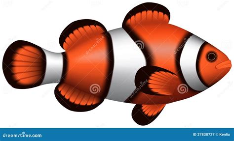 Clownfish Stock Vector Illustration Of Aquatic Layered