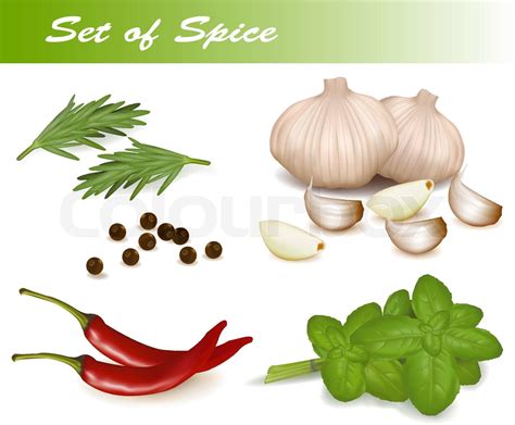 Set with spices. Vector illustration. | Stock vector | Colourbox