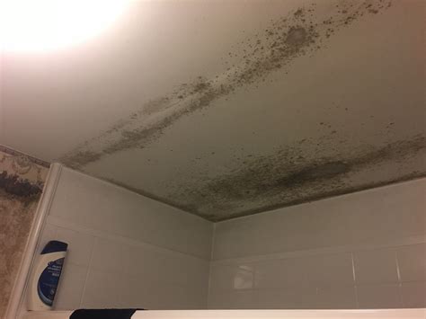 How To Fix Moldy Bathroom Ceiling Shelly Lighting