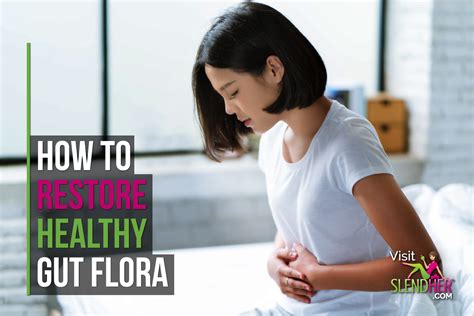 How To Restore Healthy Gut Flora SlendHer