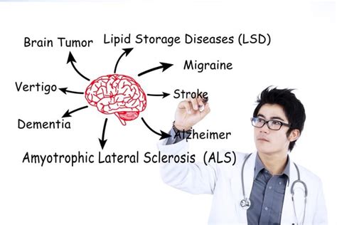 10 Common Brain Diseases - Facty Health