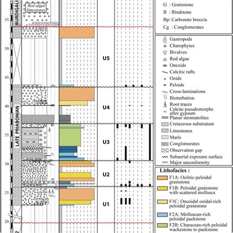 Detailed Sedimentary Log Of The Butte Iouton Succession And Main